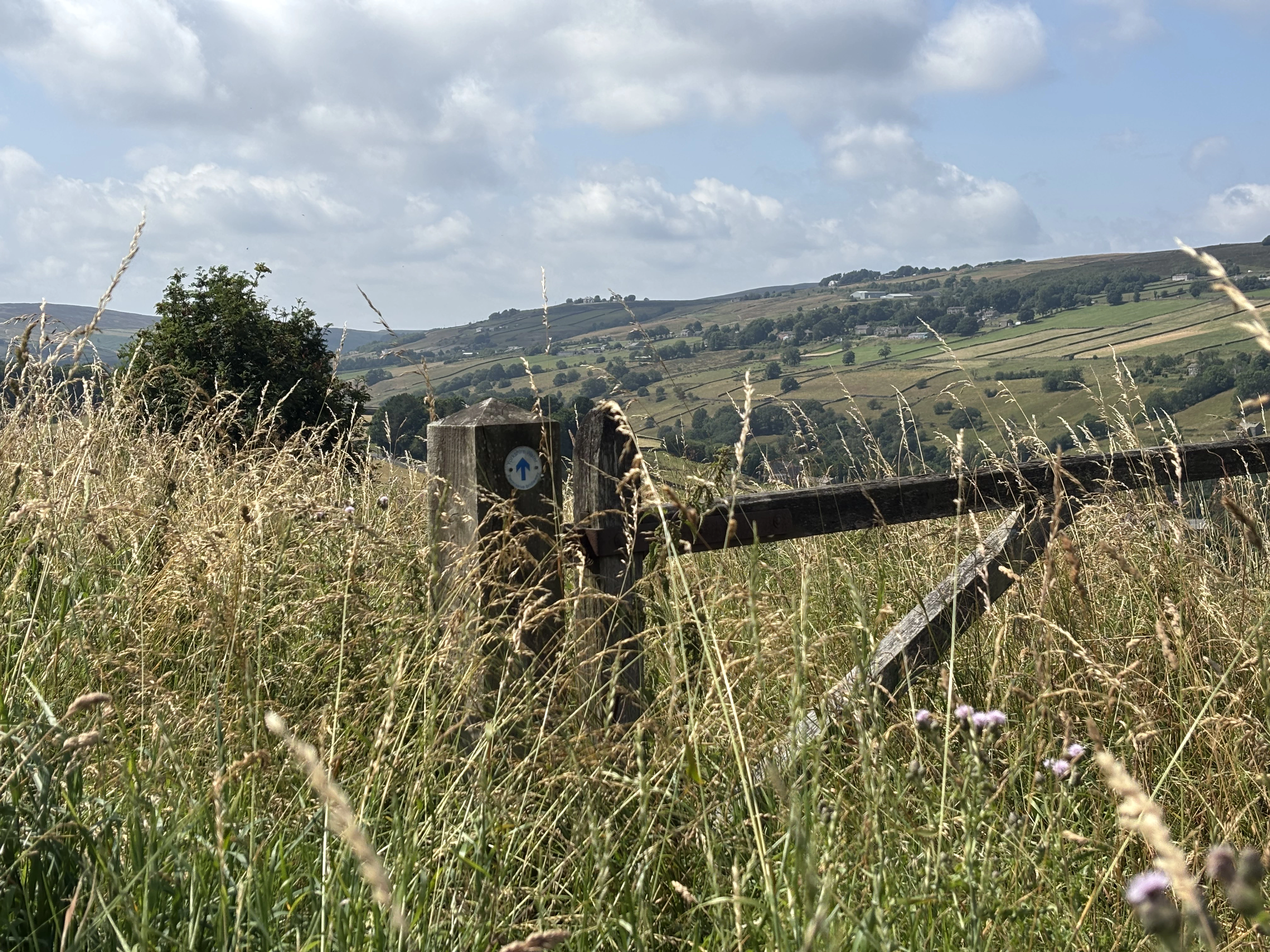 Historic Yorkshire town with a stone railway viaduct above a wooded river gorge on the Brontë and Haworth tour